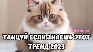 💗ТАНЦУЙ ЕСЛИ ЗНАЕШЬ ЭТОТ ТРЕНД 2023💗