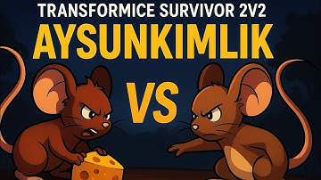 Transformice 2v2 Challenge | Cannon Only vs Agressive Player