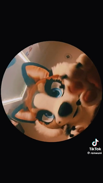 Silly!! #furry #furries #fursuit #viral #tiktok #fyp #shorts