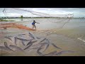 OMG! Style Man Catch Copper Fish &amp; Catfish on The Road Flooded - Best Fishing Video 2023