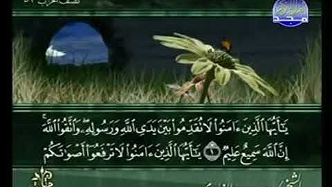 سورة الحجرات من الآية 1 الى الآية 11