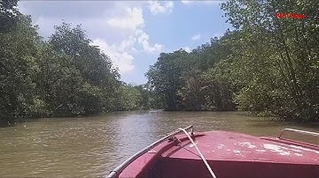 7 phút đi ca nô trong Chiến khu Rừng Sác (Cần Giờ) | T&T Vlogs