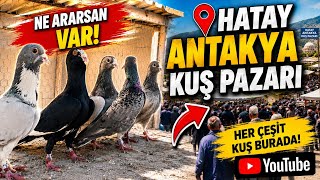 Antakya Kuş Pazarini Dolaştik Hedi̇ye Kuşlar Verdi̇m.