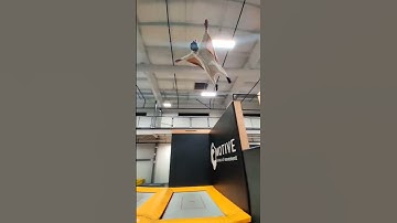FLYING SQUIRREL #shorts