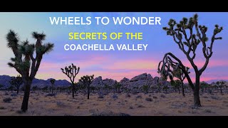 Epic Coachella Valley Adventure: Palm Springs to Joshua Tree and Beyond