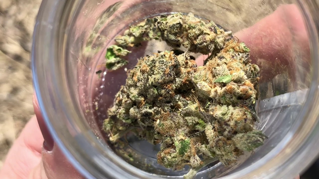 Outdoor Marihuana Adventures!