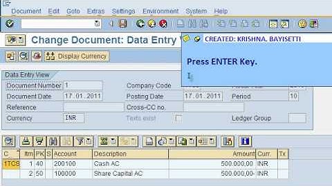 SAP FICO VIDEO TRAINING TUTORIALS 0024 TASK 4 GENERAL LEDGER DOCUMENT CHANGE ECC6 - BAYISETTI