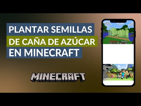 Cómo Conseguir y Plantar Semillas de caña de Azúcar en Minecraft - Cultivos de caña de Azúcar