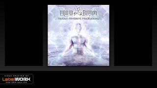 Liquid Bloom, Darpan feat. Deya Dova, Temple Step Project - Morning Star (Resonant Migration)