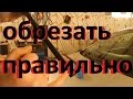 Как подогнать щётки дворников в нужный размер.