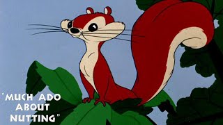 Much Ado About Nutting 1953 Warner Bros Merrie Melodies Cartoon Short Film Review And Recap