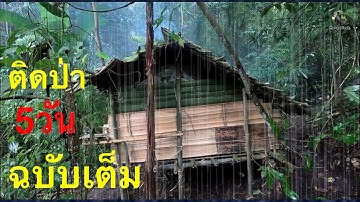 (ฉบับเต็ม) สร้างที่พัก นอนป่า 5วัน4คืน ฝนถล่มหนัก