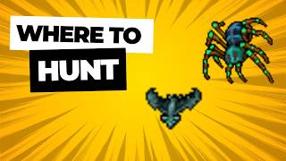 [TIBIA] How to get to EXOTIC CAVE (Exotic Cave Spider & Exotic Bat task / bestiary) location guide