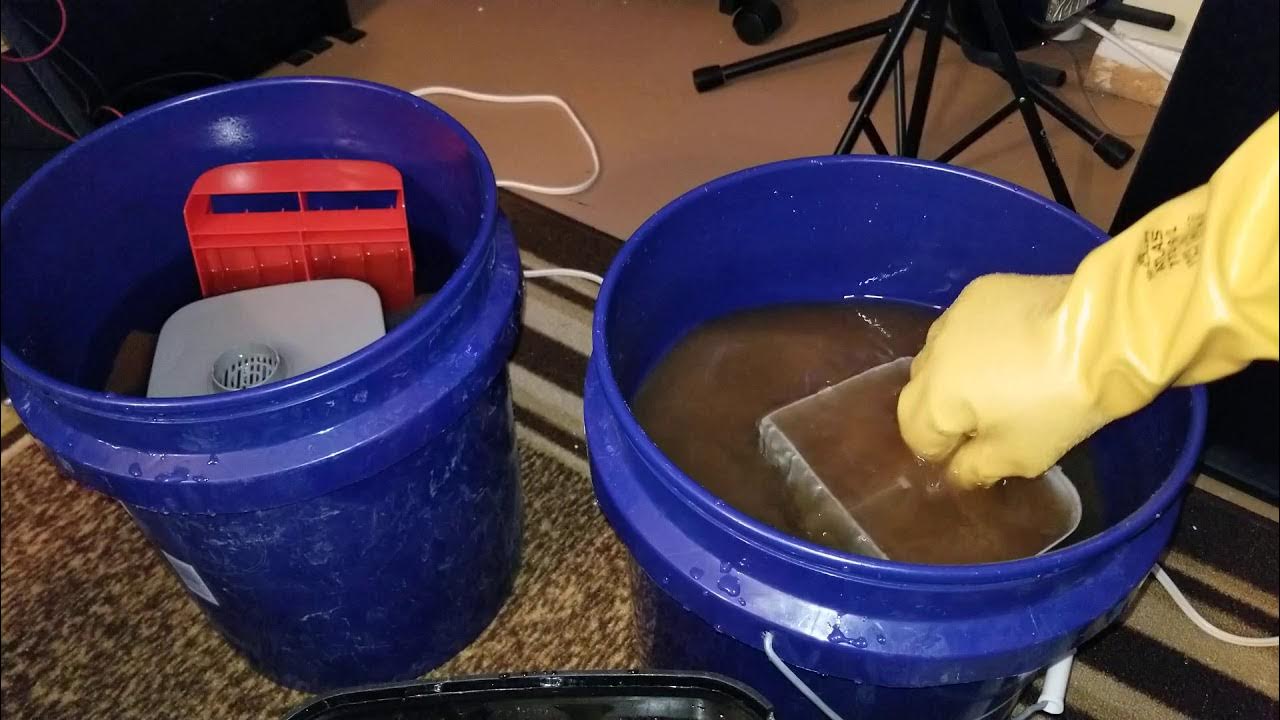 cleaning fluval 407 canister filter after six months. YouTube