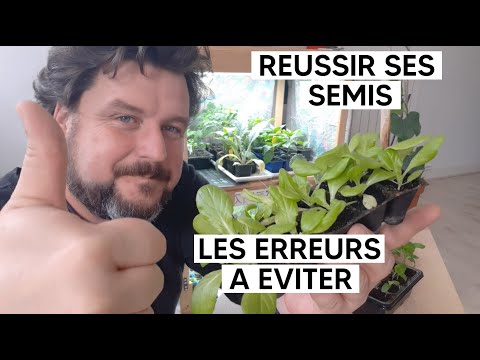 Vidéo: Que faire si mes graines ne germent pas ?