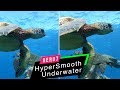 GoPro Hero7 Black: HyperSmooth Underwater Comparison! - GoPro Tip #631