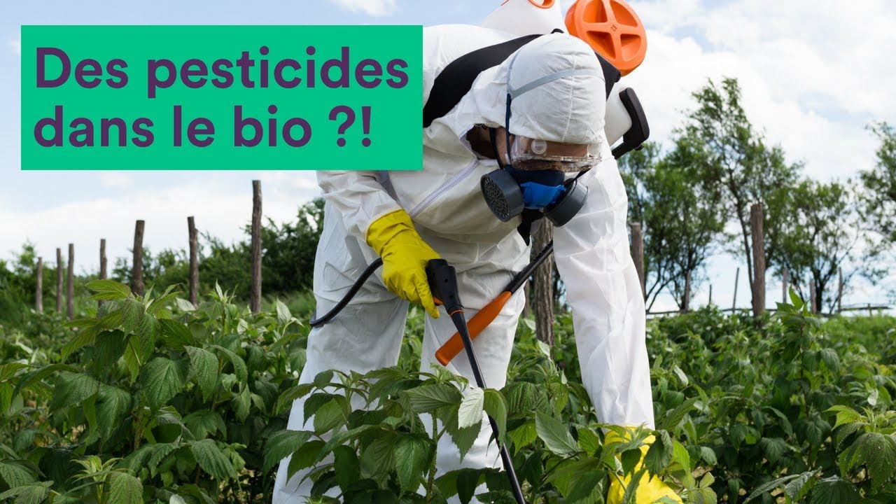 Des pesticides dans le bio ?! - YouTube