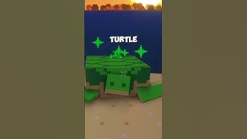 How to get the TURTLE HELMET in #minecraft