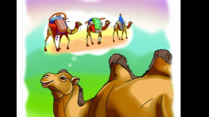 Жыныстық қатынас қызды азаптады