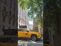 Washington square park New York City
