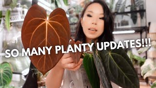 All the planty updates I could fit into one video