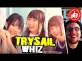 TrySail 🌠「 WHIZ 」...reaction to peak J-Pop sunshine! 『 アニメ 暦物語 / ED主題歌 』