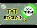 TYT Biyoloji Full Tekrar | Son Tekrar Kampı 2020