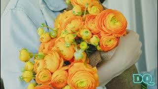 Harddope, LexMorris, Veronica Bravo _ Flowers