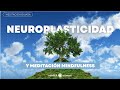 Neuroplasticidad cerebral y meditacin mindfulness  mindful science podcast