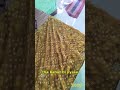 Nayi Saree Collection! Apni Perfect Match Chuno Abhi! | Digital Saree Shopping Experience