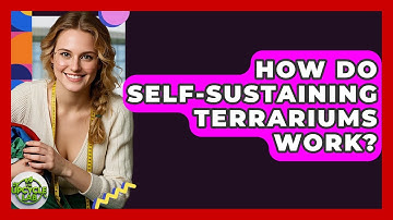 How Do Self-sustaining Terrariums Work? - The Upcycle Lab