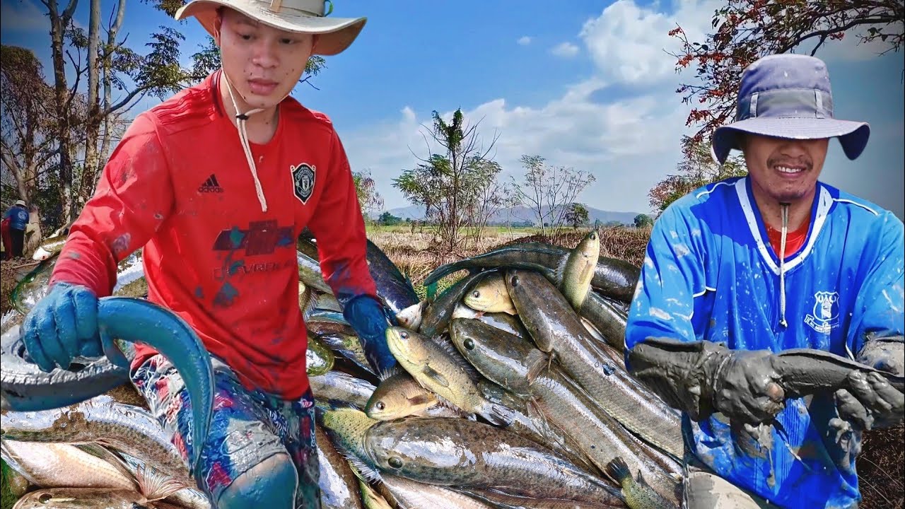 ไม่น่าเชื่อ!สูบสระเล็กๆลูกนี้อยู่สูงปลาอยู่น้อยปีนี้เกินคาดปลาช่อนเยอะมาก14/2/69