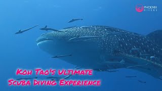 SSI Open Water Diving Course: Koh Tao's Ultimate Scuba Diving Experience