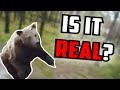 IS IT REAL? - Man Running From Bear In Woods (Real or Fake)