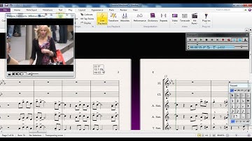 Sibelius 7.5 Tutorial Series - Writing for Video