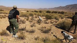 HUNTING TRIP IN EASTERN MOROCCO PART 1 -chasse au MAROC-  رحلة قنص في شرق المغرب الجزء ١