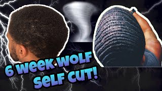 Insane 360 Wave Haircut!! End of 6 week wolf!!