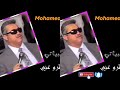 سعدي البياتي احبابي الكوطرو عني