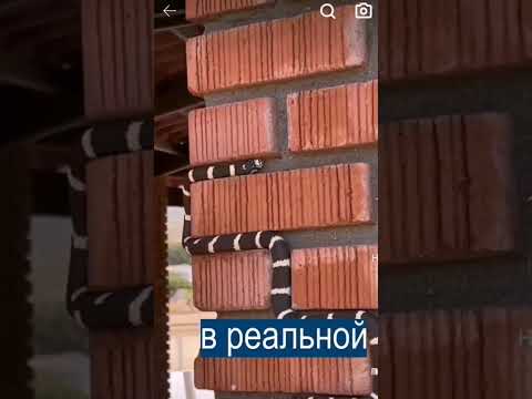 те самые новости РЕН ТВ. Завораживает не правда ли?