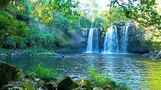 Immerse Yourself in Beautiful Nature and Relaxing Music