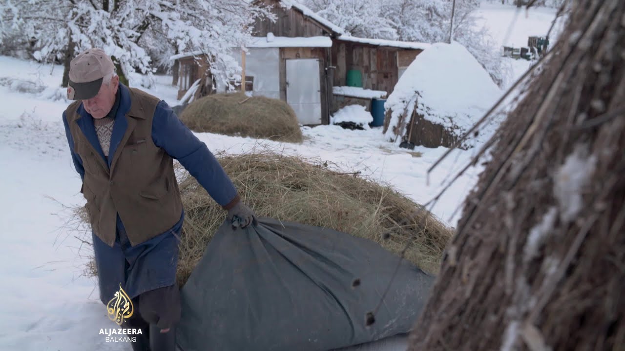 Posljednja krava u selu | Fullscreen