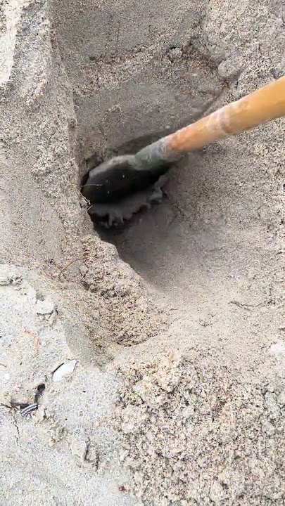Going to the sea to dig crabs, feeling happy #Digging crabs #Going to the sea #Beach#9121d
