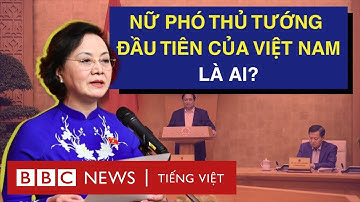BÀ PHẠM THỊ THANH TRÀ - NỮ PHÓ THỦ TƯỚNG ĐẦU TIÊN CỦA VIỆT NAM - LÀ AI?