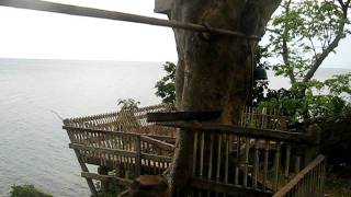 MVI_7759.AVI