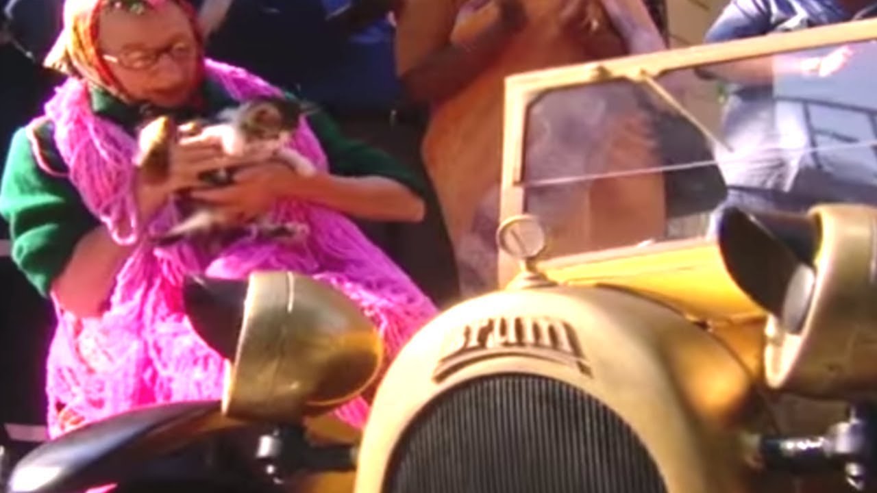 Kitten | Brum | Children's cartoons | WildBrain Turbo