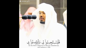 ياسر الدوسري وإذا سألك عبادى عنى فإنى قريب أجيب دعوة الداع إذا دعان(سورة البقرة)