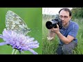 How to Photograph Butterflies in the Field | Marbled Whites