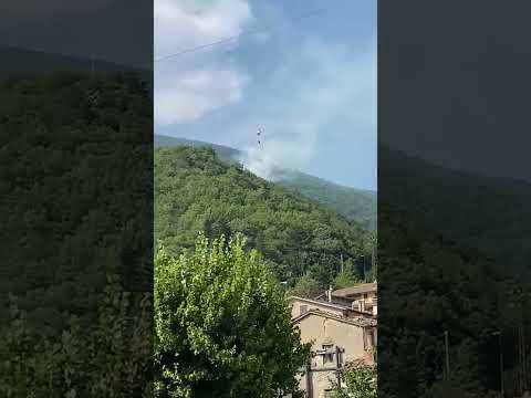 Video L'incendio di un bosco a Sefro