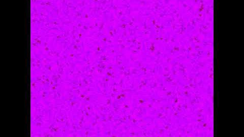 reaction diffusion system at Hopf-Instability