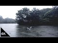 【4K】Shakujii Park on a Heavy Rainy Day - Japan